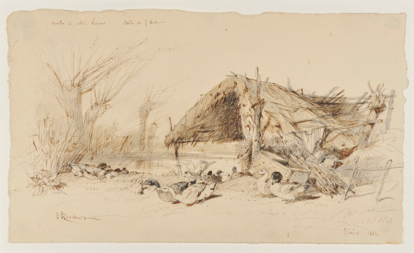 Ducks by a Pond - Image 4