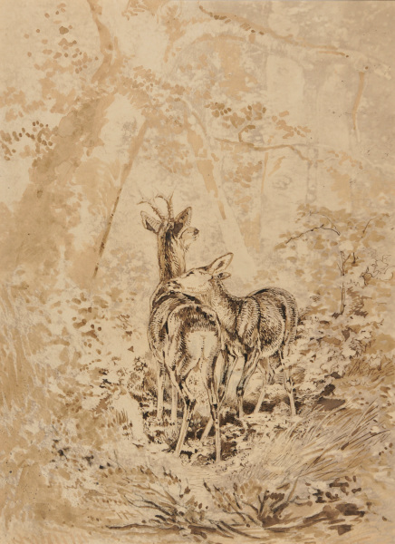 Two Deer in Woods - Image 2