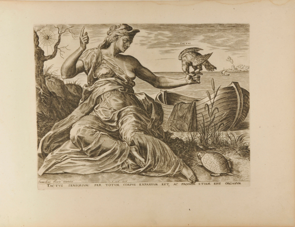 Tactus Sensorium per Totum Corpus Exparsum est, ac Proinde Etiam Eius Organum