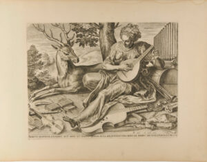 Auditus Sensorium Exertius est Auris et Crassus Quidam in ea aer Interius Vero Nervi ab Auribus ad Cerebrum Pertinente