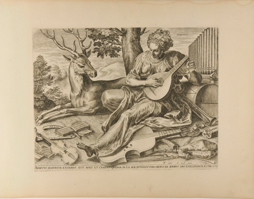 Auditus Sensorium Exertius est Auris et Crassus Quidam in ea aer Interius Vero Nervi ab Auribus ad Cerebrum Pertinente