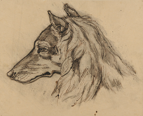 Head of a Fox (or dog) in Profile