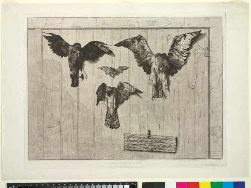 The Top Half of the Door