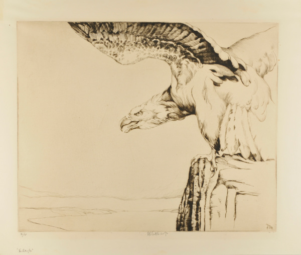 The Eagle