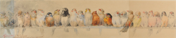 A Perch of Birds - Image 2