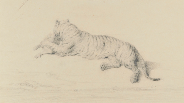 Tiger Devouring Prey - Image 2