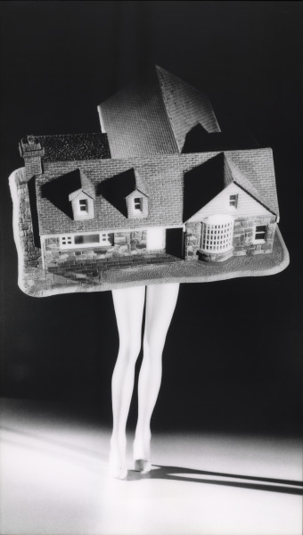 Walking House - Image 2