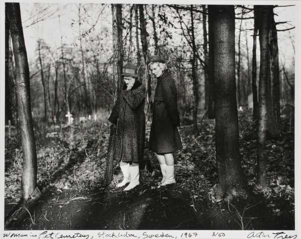 Women in Pet Cemetery, Stockholm, Sweden - Image 3