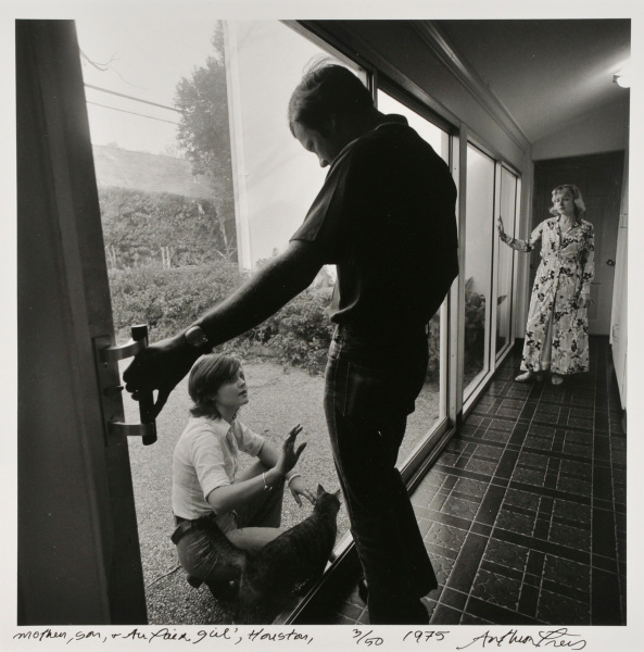 Mother, Son and Au Pair Girl, Houston - Image 3