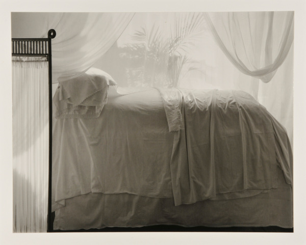 Bed with Palm Shadows - Image 3