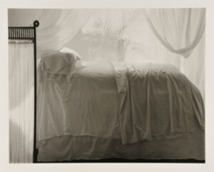 Bed with Palm Shadows