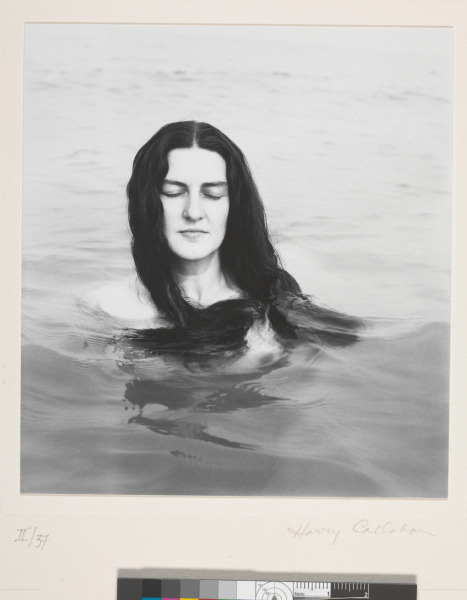 Eleanor, Chicago - Image 4