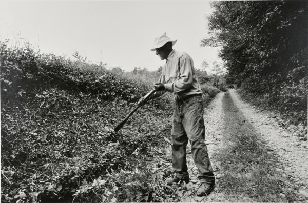 Tobacco Farmer William Short (1888-1979), Mississippi - Image 3