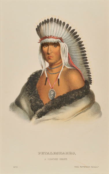 Petalesharro: A Pawnee Brave - Image 3