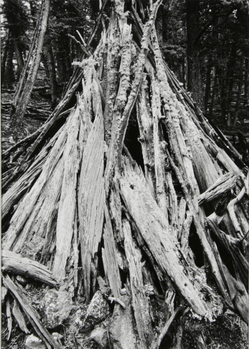 Medicine Lodge - Image 3