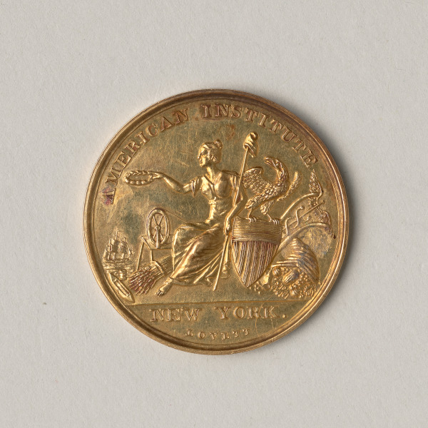 “American Institute Award” Medal - Image 3