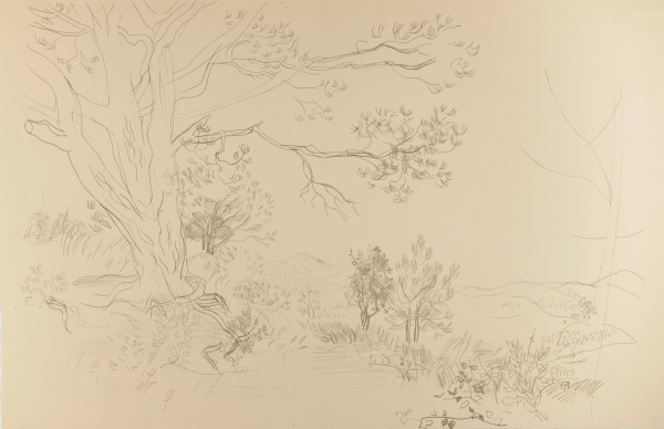 Landscape with Trees
