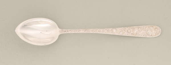 “Repousse” Grapefruit Spoon