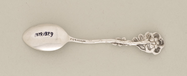 Coffee Spoon - Image 4