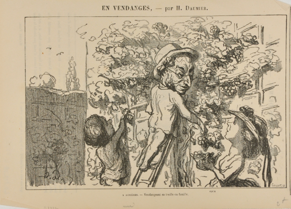 À Asnières. – Vendangeant sa treille en famille. - Image 4