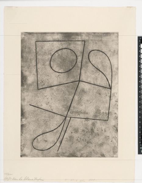 From the portfolio “Vers le Blanc Infini”