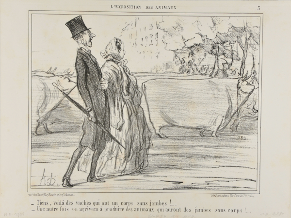 Tiens, Voilà des vaches…Tiens, voilà des vaches qui ont un corps sans jambes!… – Une autre fois on arrivera à produire des animaux qui auront des jambes sans corps! - Image 3