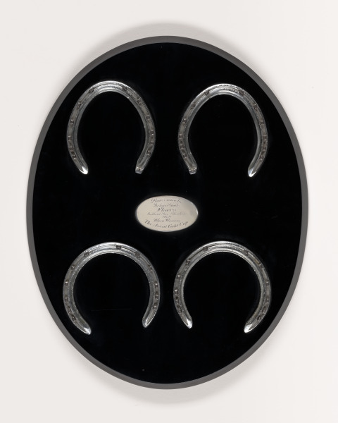 PLATES WORN BY FLARES