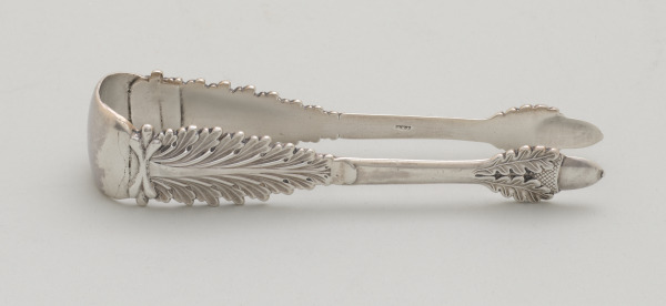 Sugar Tongs - Image 4