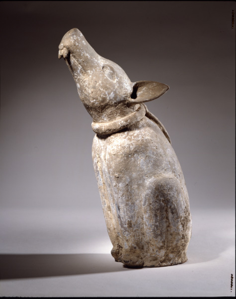 Seated Paca - Image 2