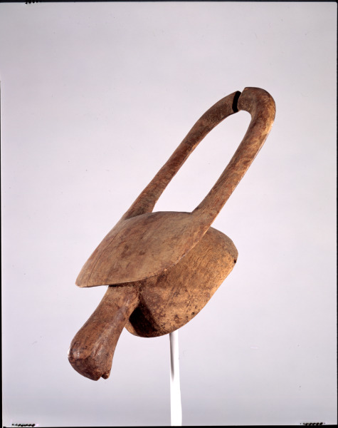 Bush Cow Crest for Mangam Society