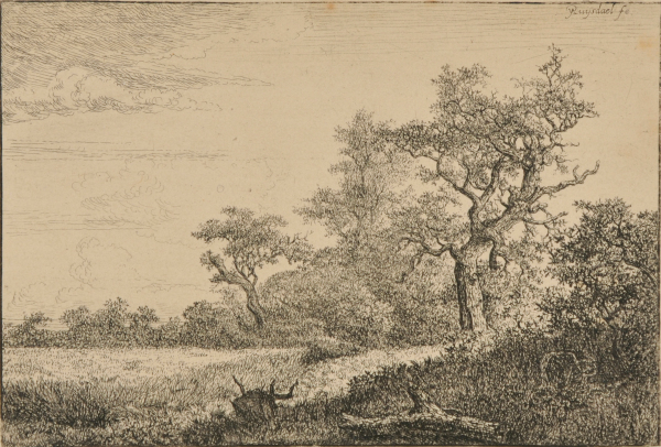 The Cornfield - Image 3