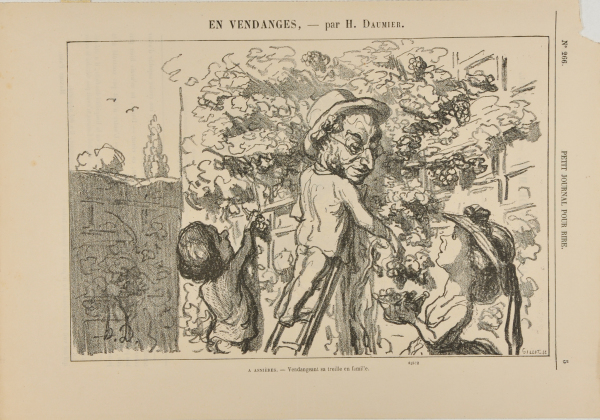 A Asnières. – Vendangeant sa treille en famille. - Image 4