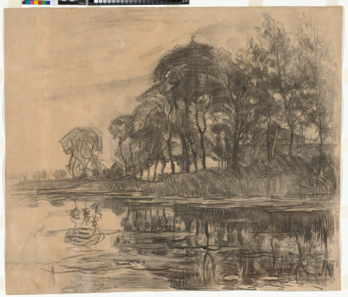 Trees at the Edge of a River - Image 3