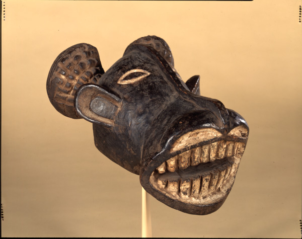 Buffalo Headdress - Image 2