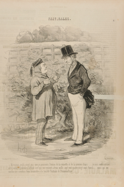 FOR 20 YEARS I WAS TRYING TO CROSS A RENNET APPLE WITH A ROSEY APPLE..... THIS YEAR I AM FINALLY SUCCESSFUL. IT HAS COST ME 3'787 FRANCS IN ALL FOR THIS GREEN APPLE.... BUT IT'LL BE WORTH IT, SINCE I'LL BE MENTIONED IN THE CENTRAL SOCIETY OF APPLE CULTURE.