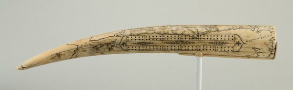 Cribbage Board - Image 8