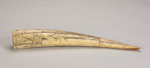 Scrimshaw Decorated with Birds and a Harbor or Village - Image 3