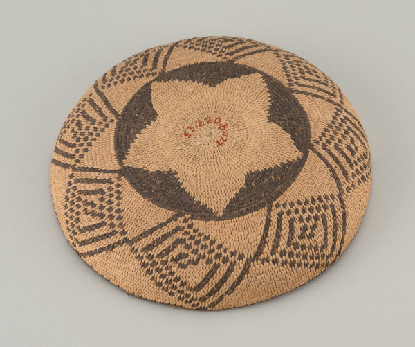 Marian Willard Gallery