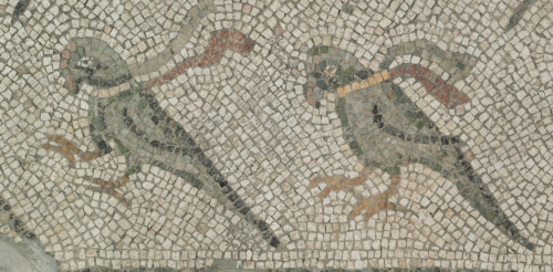Fragment of floor mosaic depicting beribboned parrots - Image 6