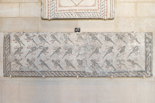 Fragment of floor mosaic depicting beribboned parrots - Image 5
