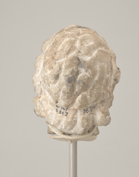 Head of Alexander the Great - Image 4