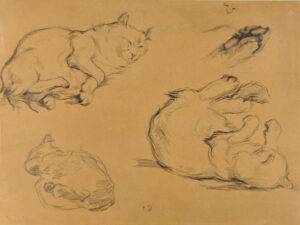 Studies of Three Cats
