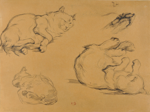 Studies of Three Cats
