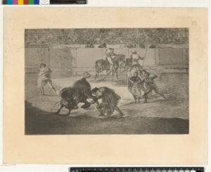 Plate 29 from the series “La Tauromaquia (The Bullfight)”