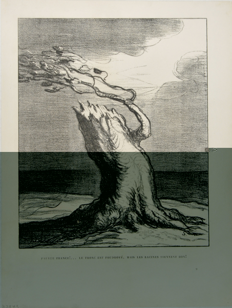 POOR FRANCE... THE TRUNK WAS STRUCK BY LIGHTENING, BUT THE ROOTS HOLD FAST