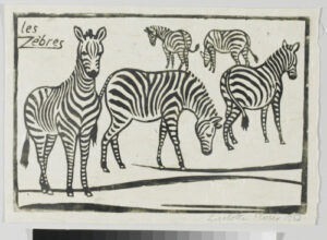 Zebras
