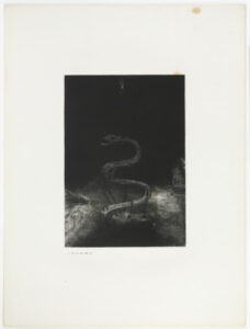 …et le lia pour mille ans