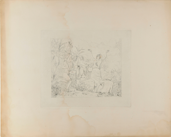 Free Negroes in Hayti