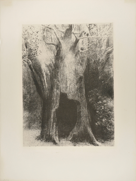 I Plunged into Solitude. I Dwelt in the Tree Behind Me (Je me suis enfoncé dans la solitude. J’habitais l’arbre derrière moi)