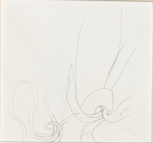 Study for “Rondels” - Image 2